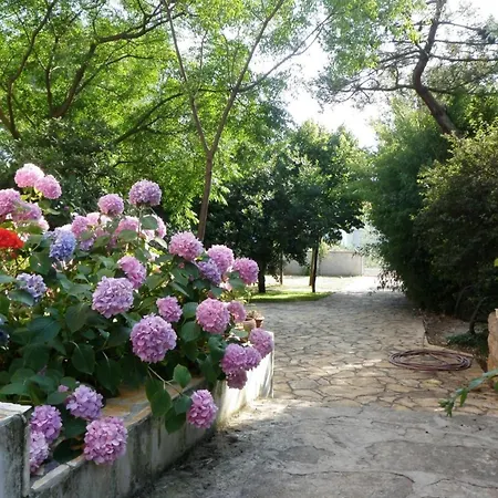 Prázdninový dům Strandnahes Haus Lolinka Mit Schattiger Terrasse By Interhome